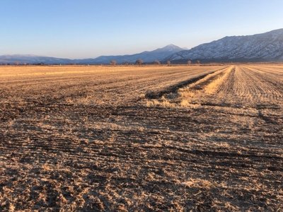 Smith, Nevada Farm Ranch Land Hay Barn Water Rights For Sale - image 27