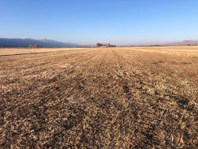 Smith, Nevada Farm Ranch Land Hay Barn Water Rights For Sale - image 14