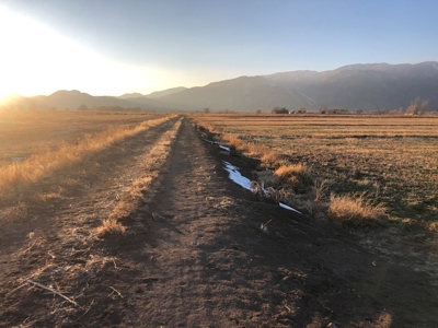 Smith, Nevada Farm Ranch Land Hay Barn Water Rights For Sale - image 26