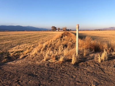 Smith, Nevada Farm Ranch Land Hay Barn Water Rights For Sale - image 25