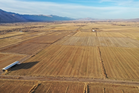 Smith, Nevada Farm Ranch Land Hay Barn Water Rights For Sale - image 36