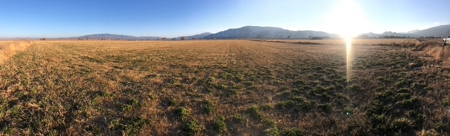 Smith, Nevada Farm Ranch Land Hay Barn Water Rights For Sale - image 17