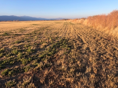 Smith, Nevada Farm Ranch Land Hay Barn Water Rights For Sale - image 23