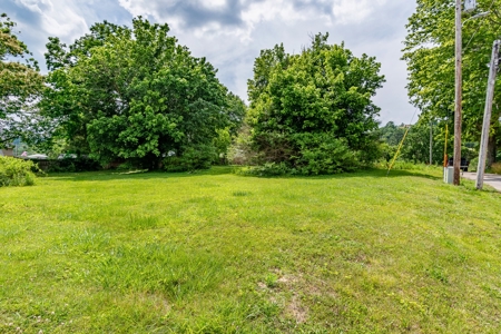 Absolute Auction - Online Only - Home in Burkesville, KY - image 3