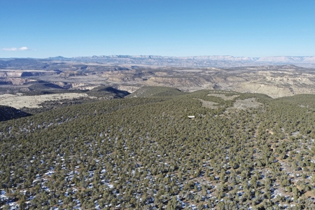 Hunting Property, Cabin, Borders Public Land in Western Colo - image 18