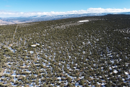 Hunting Property, Cabin, Borders Public Land in Western Colo - image 17