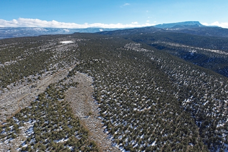 Hunting Property, Cabin, Borders Public Land in Western Colo - image 20