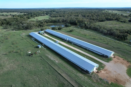 Poultry Farm in Somerville, Texas - image 3