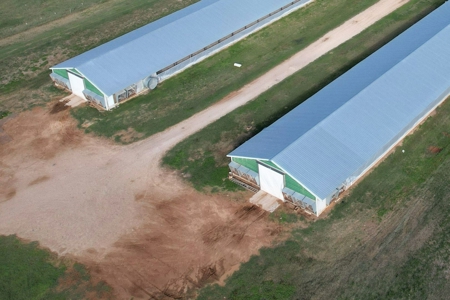 Poultry Farm in Somerville, Texas - image 8