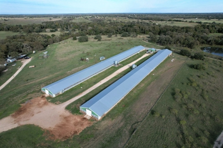 Poultry Farm in Somerville, Texas - image 7