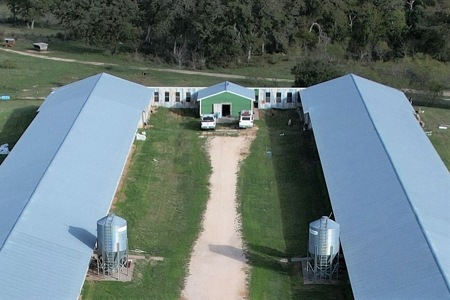 Poultry Farm in Somerville, Texas - image 16