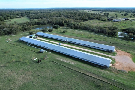 Poultry Farm in Somerville, Texas - image 2