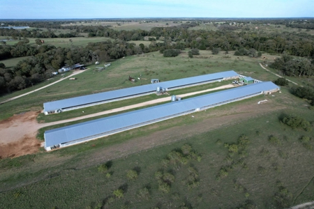 Poultry Farm in Somerville, Texas - image 9