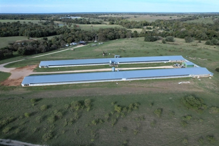 Poultry Farm in Somerville, Texas - image 11