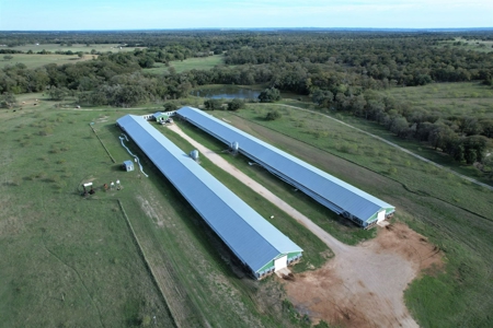 Poultry Farm in Somerville, Texas - image 4