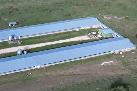 Poultry Farm in Somerville, Texas - image 14