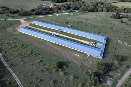 Poultry Farm in Somerville, Texas - image 15