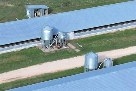 Poultry Farm in Somerville, Texas - image 10