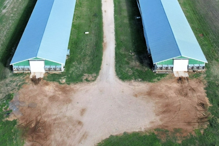 Poultry Farm in Somerville, Texas - image 6