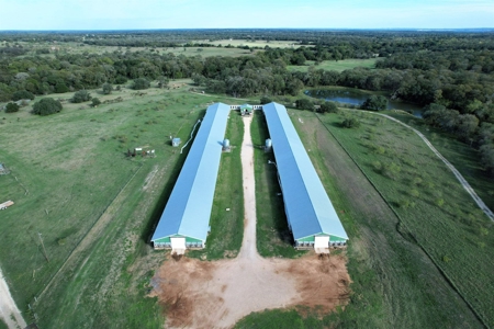 Poultry Farm in Somerville, Texas - image 5