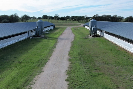 Poultry Farm in Somerville, Texas - image 12