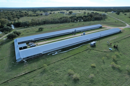 Poultry Farm in Somerville, Texas - image 17