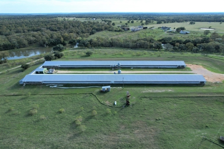 Poultry Farm in Somerville, Texas - image 1