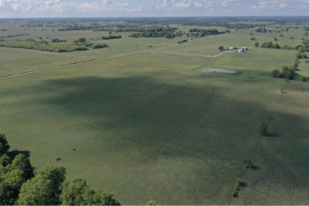 Fantastic 120 acre Southwest Missouri Cattle farm with home.