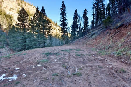 Telluride, Colorado Vacant Mountain Land For Sale W/ Views! - image 5