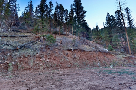 Telluride, Colorado Vacant Mountain Land For Sale W/ Views! - image 6