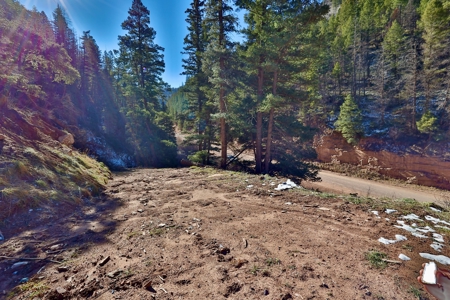 Telluride, Colorado Vacant Mountain Land For Sale W/ Views! - image 14