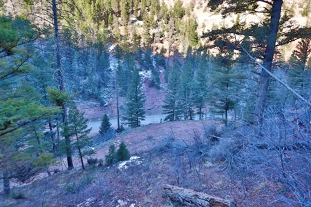 Telluride, Colorado Vacant Mountain Land For Sale W/ Views! - image 3