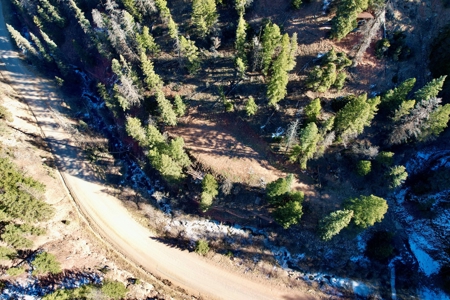 Telluride, Colorado Vacant Mountain Land For Sale W/ Views! - image 24