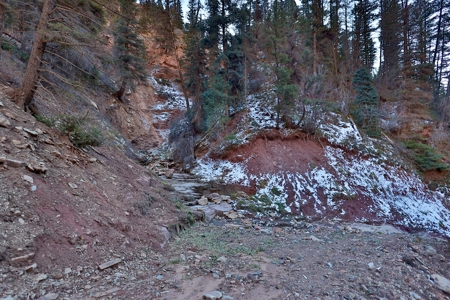 Telluride, Colorado Vacant Mountain Land For Sale W/ Views! - image 7