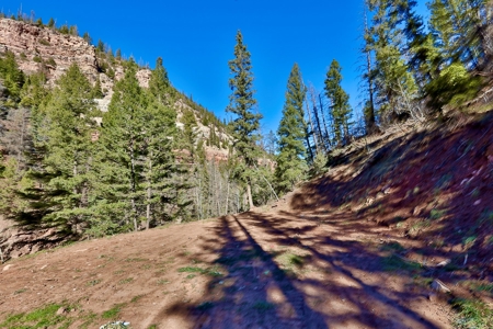 Telluride, Colorado Vacant Mountain Land For Sale W/ Views! - image 15
