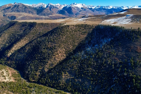 Telluride, Colorado Vacant Mountain Land For Sale W/ Views! - image 27