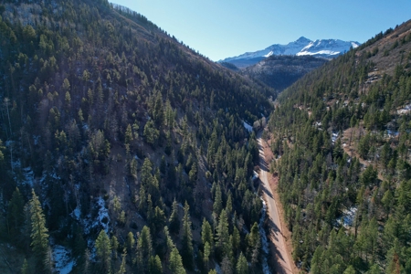 Telluride, Colorado Vacant Mountain Land For Sale W/ Views! - image 26