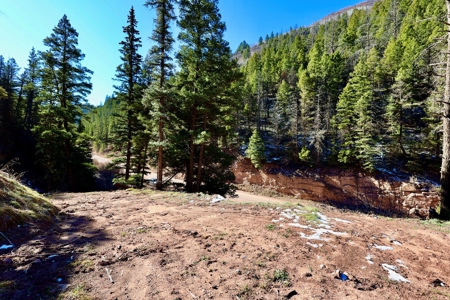 Telluride, Colorado Vacant Mountain Land For Sale W/ Views! - image 13