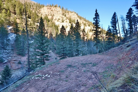Telluride, Colorado Vacant Mountain Land For Sale W/ Views! - image 4