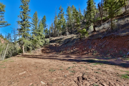 Telluride, Colorado Vacant Mountain Land For Sale W/ Views! - image 17