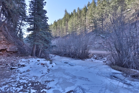 Telluride, Colorado Vacant Mountain Land For Sale W/ Views! - image 9