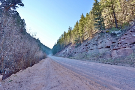 Telluride, Colorado Vacant Mountain Land For Sale W/ Views! - image 11