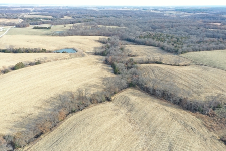 For Sale 88 Acre m/l Row Crop/Hunting Farm - image 5