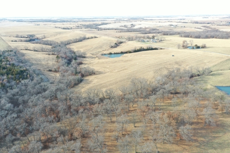For Sale 88 Acre m/l Row Crop/Hunting Farm - image 12