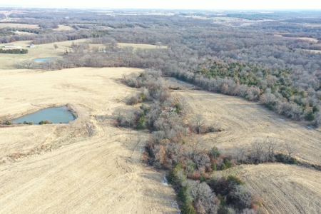 For Sale 88 Acre m/l Row Crop/Hunting Farm - image 6