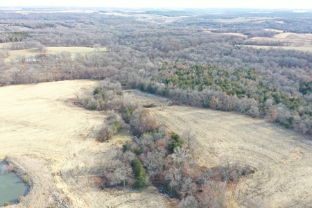 For Sale 88 Acre m/l Row Crop/Hunting Farm - image 8