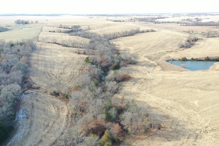 For Sale 88 Acre m/l Row Crop/Hunting Farm - image 14