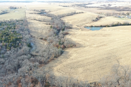 For Sale 88 Acre m/l Row Crop/Hunting Farm - image 13