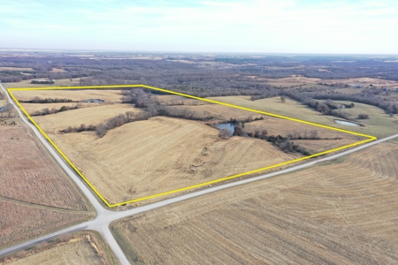 For Sale 88 Acre m/l Row Crop/Hunting Farm - image 1