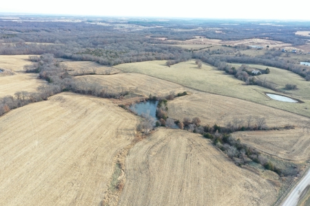 For Sale 88 Acre m/l Row Crop/Hunting Farm - image 3